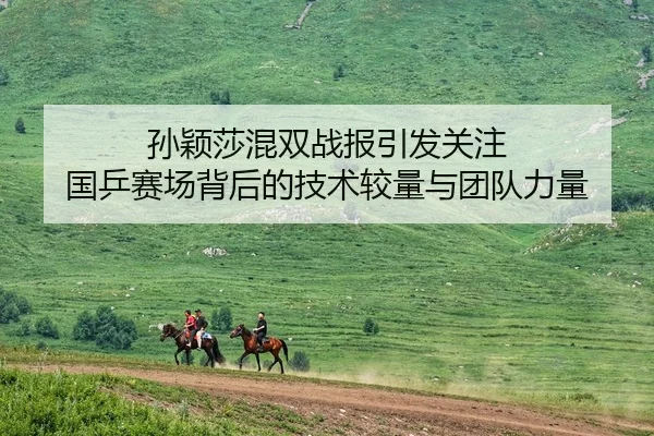 孙颖莎混双战报引发关注 国乒赛场背后的技术较量与团队力量