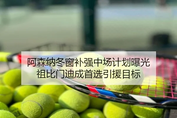 阿森纳冬窗补强中场计划曝光 祖比门迪成首选引援目标