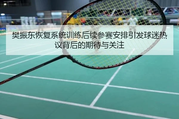 樊振东恢复系统训练后续参赛安排引发球迷热议背后的期待与关注